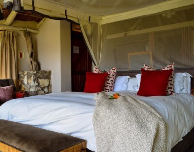 Lagoon Lodge – Forest View — MOSAIC Lagoon Lodge