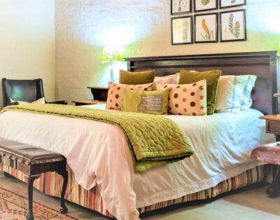 Shikwari Wild Fig — Shikwari Nature Reserve