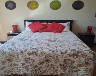 Luxury Family Apartment sea facing — a1 kynaston guest house