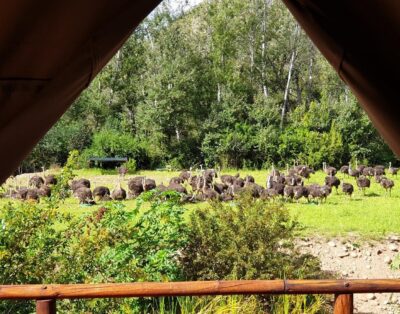 Luxury riverfront family tent bath 5 — Old Mill lodge, Working Ostrich Farm & Restaurant