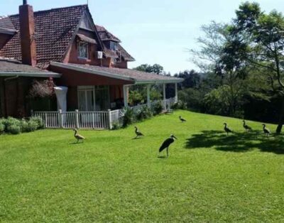 Deluxe Queen Room — 18 Pioneer BnB