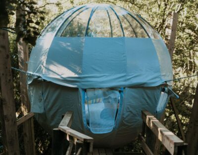 Forest Dome — Misty Mountain Reserve