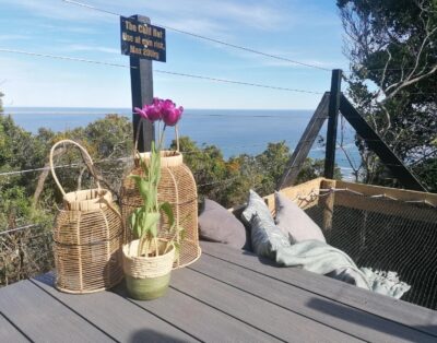 The Hive – Storm — Misty Mountain Reserve