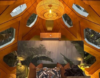 The Hive – Jungle — Misty Mountain Reserve