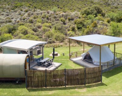 Glen Eden Ranch Lilly Pod — Glen Eden Farm