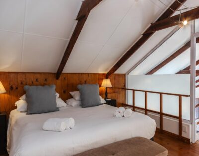 La Felicita Pine Trees — La Felicita Villas & Red Victorian Mansion