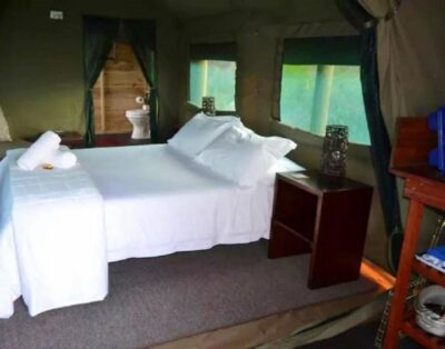 Eagle Owl — Otium Oasis Glamping & Camping