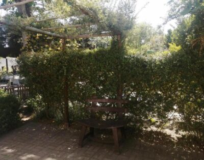 Deluxe Queen Cottage — Fiore Garden Accommodation