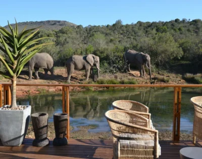 Barefoot Addo Elephant Lodge