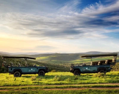 Bellevue Forest Reserve – Stargazer Camp