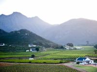 Mosesberg Cottage — Orange Grove