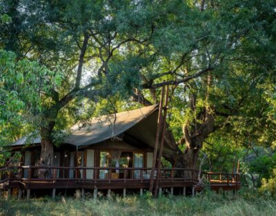 Tuli Safari Luxury Tented Lodge
