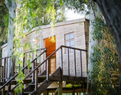 Tree House: TH 1 or TH 2 or TH3 — Vindoux Guest Farm and Day Spa