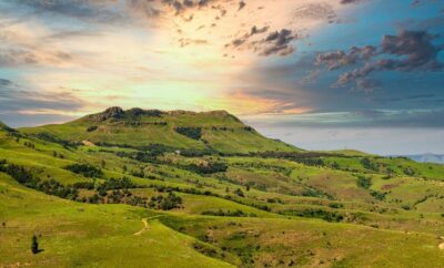 Limpopo Safari & Bush Retreats: Experience the Wild Beauty of South Africa