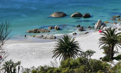Eastern Cape Coastal Escapes: Discover South Africa’s Hidden Beach Destinations