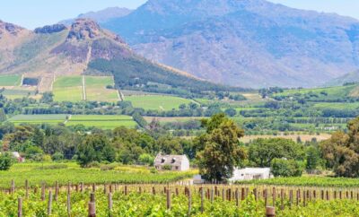 Free State Hidden Gems: Peaceful Countryside Getaways and Scenic Escapes 🚜